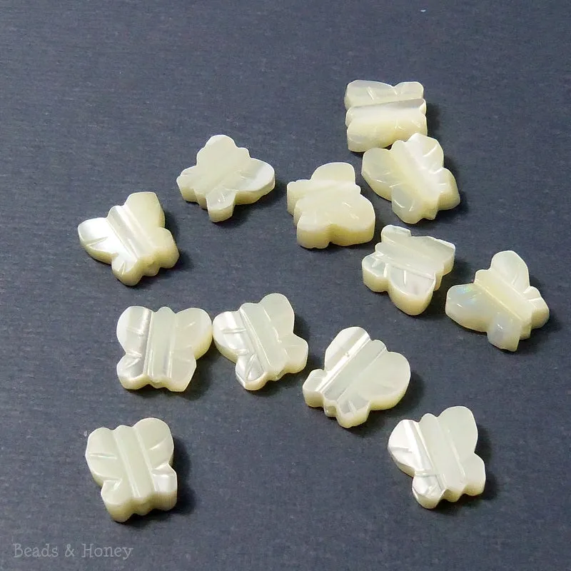 Troca Shell Butterfly 10mm (12pcs, Qty Pricing)